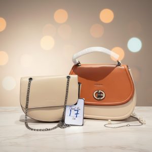 Luminous Two-Tone Chain Crossbody